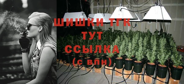 ешки Володарск
