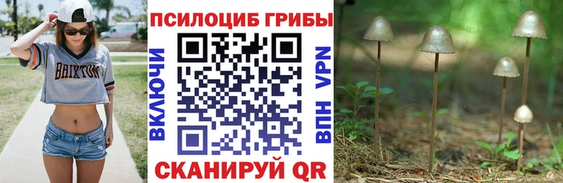 Галлюциногенные грибы Magic Shrooms  Инсар 